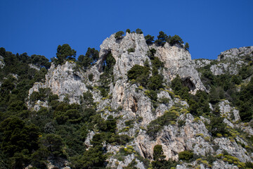 rocky mountain landscape