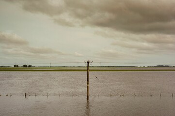 Scenic shot of the flooded fields of Buenos Aires with the overcast sky in the background