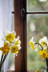 Dettaglio di alcuni fiori di narciso di fronte ad una finestra di legno sfocata