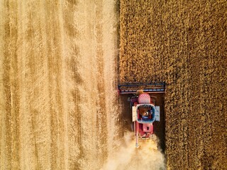 Fototapeta na wymiar Aerial drone photo of red harvester working in wheat field on sunset. Top view of combine harvesting machine driver cutting crop in farmland. Organic farming. Agriculture theme, harvesting season.