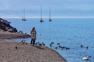 Woman by the lake feeding ducks with a child. Ascona, Lago Maggiore, Switzerland - 592323592