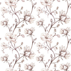 Seamless pattern ranunculus flower isolated on white. Watercolor hand drawn botanical peony illustration. Art for design