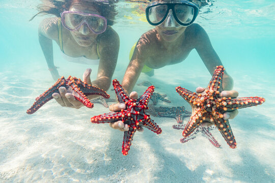 Mother and son with scuba masks showing red starfish underwater, Zanzibar, Tanzania