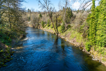 Cedar River In Renton 3