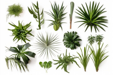 Tropical green leaves collection isolated on white background. Generative AI