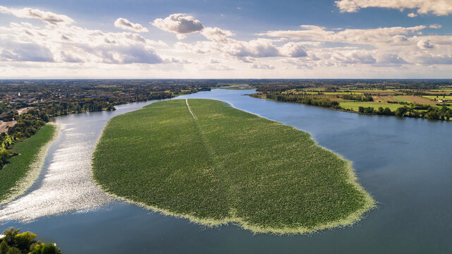 lago superiore mantova isola dei loto