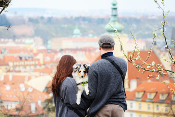 Couple hold dog sheltie in spring garden Petrin in Prague
