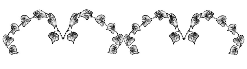 Climbing plants. Branches with leaves. Graphic drawing. Isolated illustration for your design. Ideal for decorating mugs or decorating a book: a small pattern or ornament