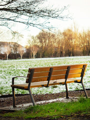 Plastic and metal bench made in classic style in a winter park under cover of trees. Field and trees in the background covered with snow. Nobody. Cold season concept.