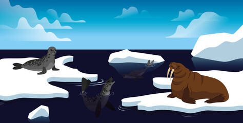 Vector Illustrations of Artic animals, north and south pole. Marine and land mammals, seals and walrus. - obrazy, fototapety, plakaty