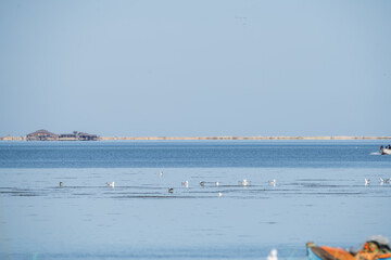 View of Djerba, a large island in southern Tunisia

