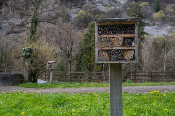 Insect house in the garden. Bug hotel at the park with plants in Switzerland.