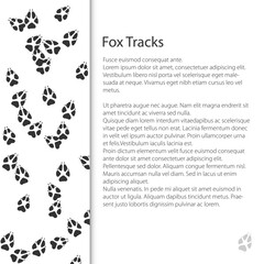 Cover design with traces of forest animal, fox mammal footprint, vector illustration