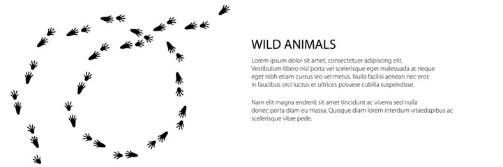 Trace of forest animal banner, raccoon mammal footprint, vector illustration © serz72