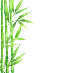 Fototapeta na wymiar Hand drawn watercolor bamboo cane green lush foliage tropical leaves on one side mock up with copy space.Isolated on white, web design element for cards, invitations.