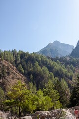 Obraz premium forest and mountain landscape, trails of travelers and mountains in the distance. Wooden bridges and streams