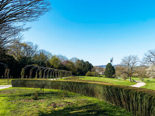 Landschaftspark Grütt in Lörrach - Grüttpark in Lörrach mit Rosengarten im zeitigen Frühjahr