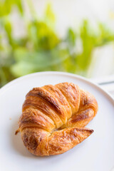 French croissant on plate on wooden table and nature sunlight with shadow through from window.