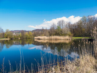 Obraz premium Grüttsee in Lörrach. Ruhige Wasser des kleinen Sees