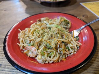 A red-colored, melamine saucer is placed on a wooden table, full of vegetable noodles with a fork inside, with a blurry background. 