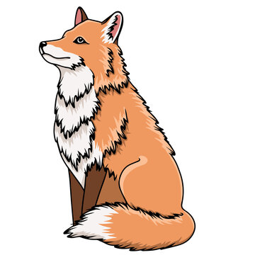 Cute Fox Art