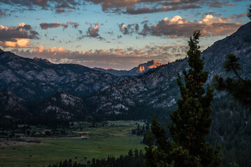 Arboretum Walk Monitor Pass