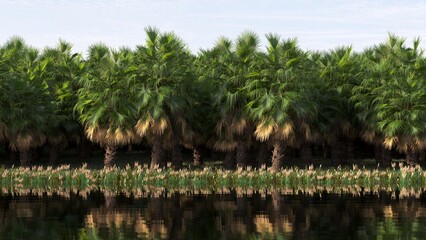 tropical jungle on the river bank, 3D illustration, cg render
