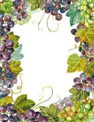 Watercolor grapes. Postcard with bunches and leaves of grapes around the edges