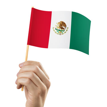 Hand holding flag of Mexico, cut out
