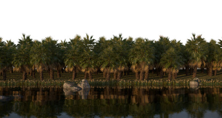 Fototapeta na wymiar tropical jungle on the river bank on a transparent background, 3D illustration, cg render 