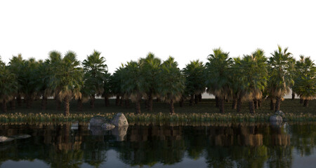 tropical jungle on the river bank on a transparent background, 3D illustration, cg render
