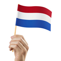 Hand holding flag of Netherlands, cut out