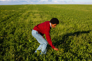 African girl in green meadow