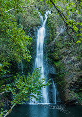 Cascada en el bosque