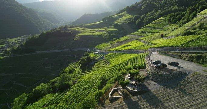 Aerial view of Swiss terraced vineyards