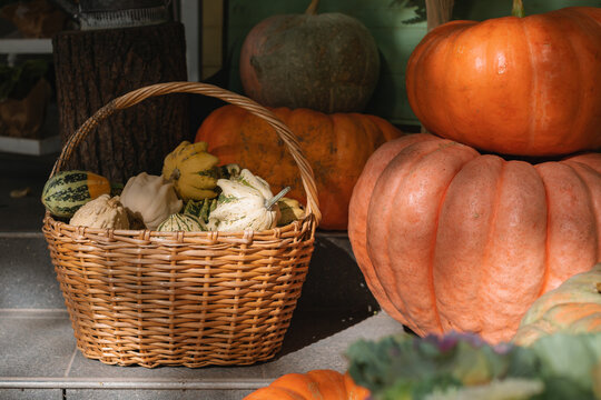 Basket filled with assorted pattypan squash next to pumpkins on a the porch of a house