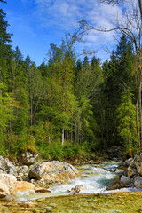 Wildwasser Fluss im Gebirge mit Wald