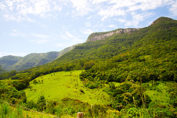 Obraz premium landscape with trees