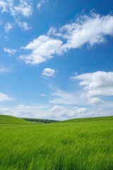 Fototapeta na wymiar Blue sky green spring meadow landscape. generative ai
