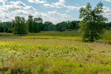 Prairie Planting At UWGB Cofrin Memorial Arboretum, Green Bay, Wisconsin