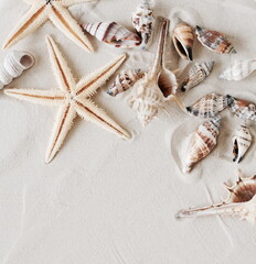Fototapeta na wymiar Seashells on sand background with copy space . Sea summer vacation backdrop.Neutral colors toned.