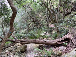 Wanderung im Marloth Nature Reserve