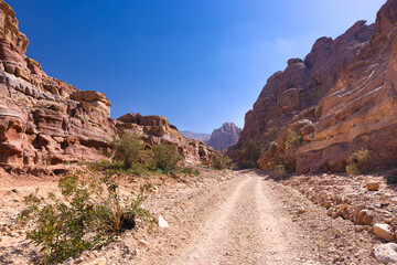 Petra w Jordanii. Kamienista droga między skalnymi, pustynnymi górami. - obrazy, fototapety, plakaty