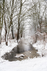 .Winter natural landscape. River in a snowy forest.