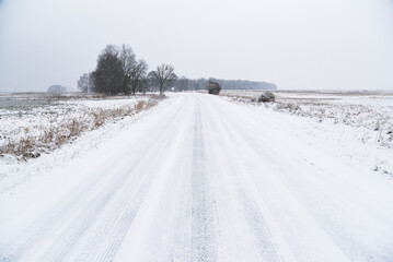 Winter landscape. Snowy road.
