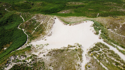 Green plants cover the slopes of sand dunes in summer in Ireland, top view. Beautiful Irish hills,...