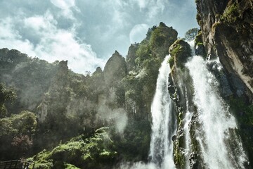 Green nature landscape with waterfall