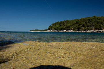 plaża ocean zach&oacute;d słońca sosna