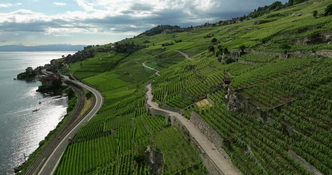 aerial view of terraced vineyards in Switzerland
