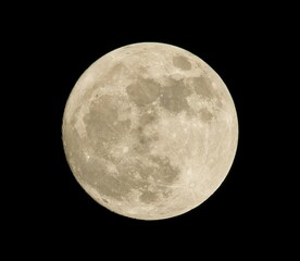 full moon in the night